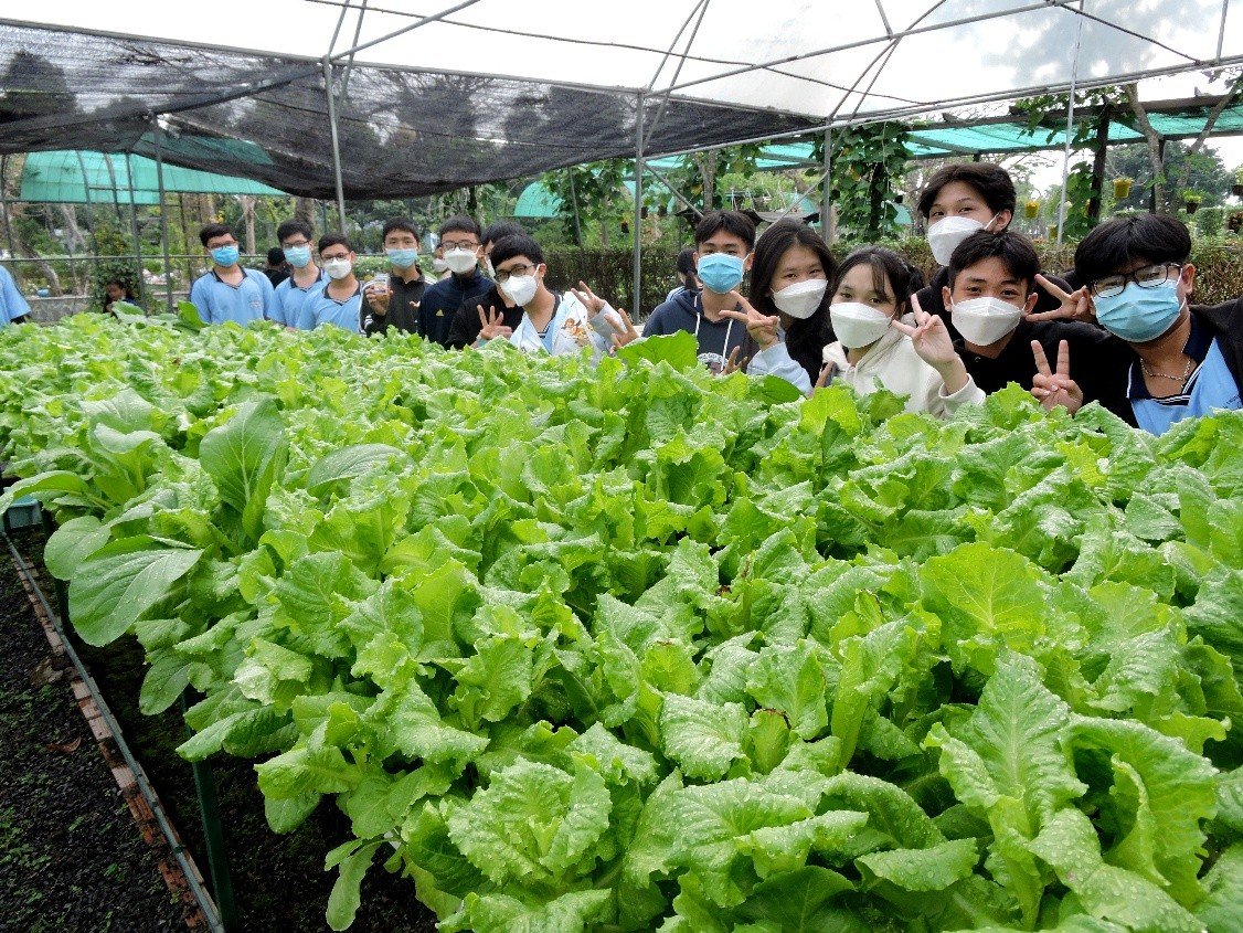 tour tham quan nông nghiệp công nghệ cao- một thoáng Việt Nam- nông trại xanh Green noen