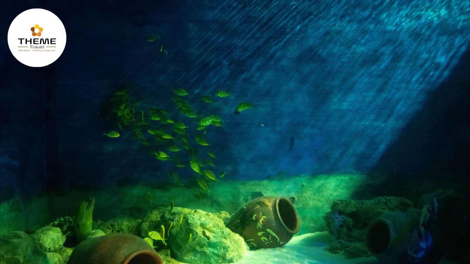 tour Nha Trang -Đà Lạt 4N3D